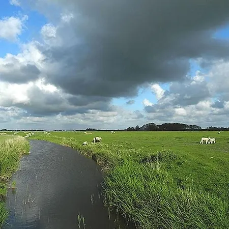 Groede In The Odde